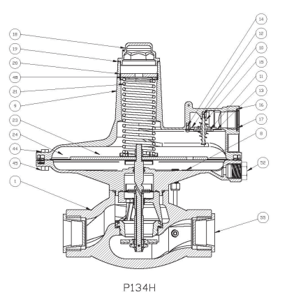 P134 Gas Pressure Regulator (Internal Registration)