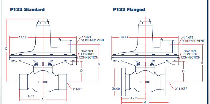 P133 Gas Pressure Regulator (External Registration)