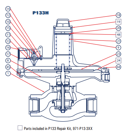 P133 Gas Pressure Regulator (External Registration)